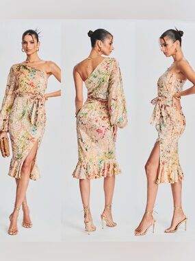 Hemant & Nandita Dress Women’s Veena Nude Long One-Shoulder Velvet Floral XS